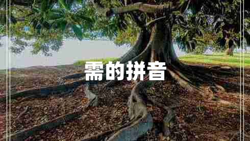 需的拼音 需的拼音