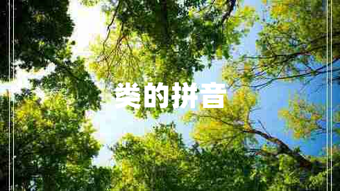 類的拼音 類的拼音