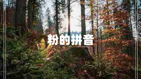 粉的拼音 粉的拼音