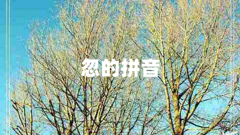 忽的拼音 忽的拼音