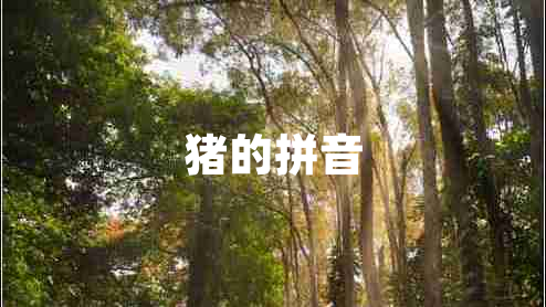 豬的拼音 豬的拼音