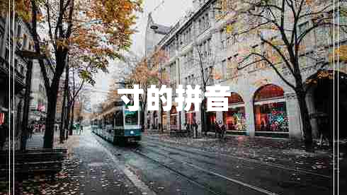 寸的拼音 寸的拼音