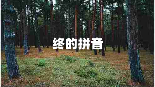 終的拼音