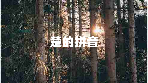 楚的拼音 楚的拼音