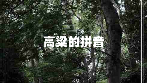 高粱的拼音 高粱的拼音