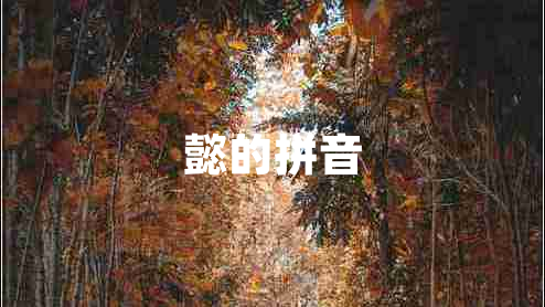 懿的拼音 懿的拼音