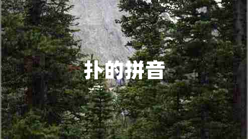 撲的拼音 撲的拼音