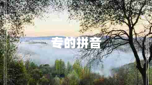 專的拼音 專的拼音