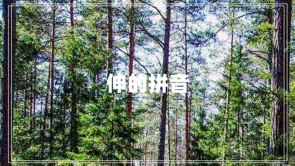 伸的拼音 伸的拼音