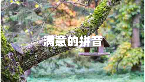 滿意的拼音 滿意的拼音