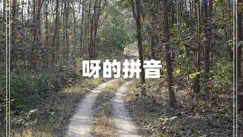 呀的拼音 呀的拼音