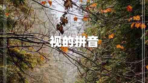 視的拼音 視的拼音