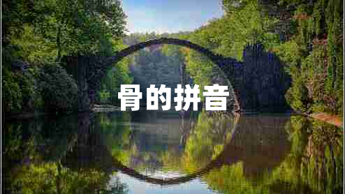 骨的拼音 骨的拼音