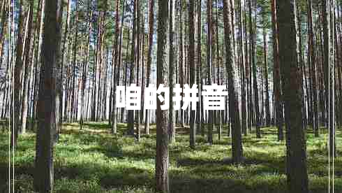 咱的拼音 咱的拼音