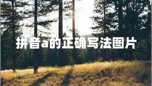 拼音a的正確寫法圖片 拼音a的正確寫法圖片