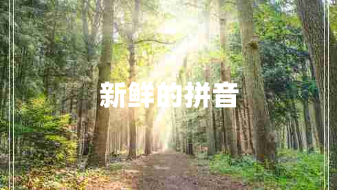 新鮮的拼音 新鮮的拼音