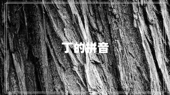 丁的拼音 丁的拼音