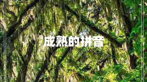 成熟的拼音 成熟的拼音