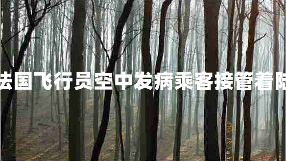 法國飛行員空中發(fā)病乘客接管著陸