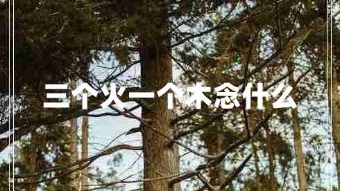 三個火一個木念什么
