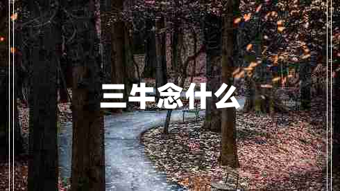 三牛念什么