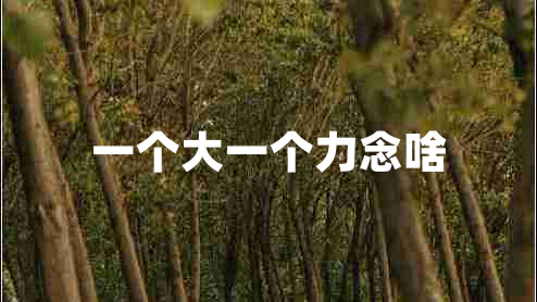 一個大一個力念啥