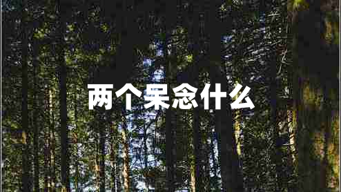 兩個(gè)呆念什么
