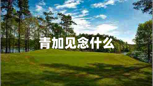 青加見念什么