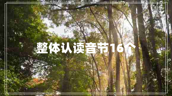 整體認讀音節(jié)16個