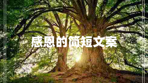 感恩的簡短文案