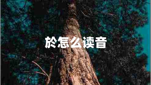 於怎么讀音