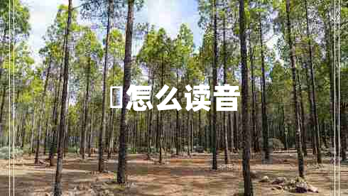 翀?jiān)趺醋x音