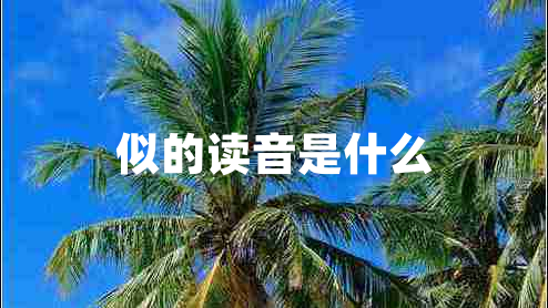 似的讀音是什么