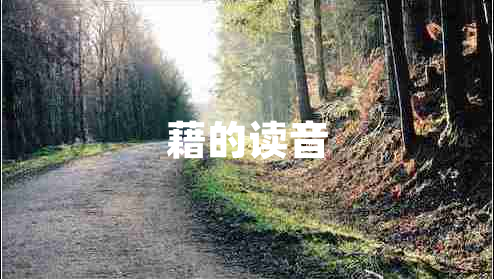 藉的讀音 藉的讀音