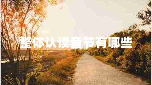 整體認(rèn)讀音節(jié)有哪些