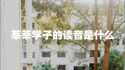 莘莘學(xué)子的讀音是什么