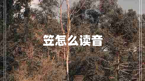 笠怎么讀音