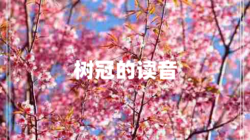 樹(shù)冠的讀音