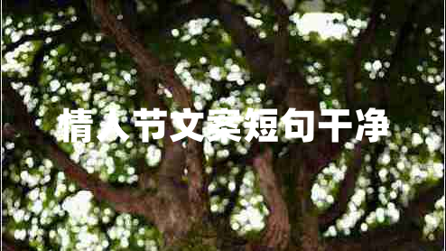 情人節(jié)文案短句干凈