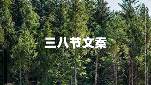 三八節(jié)文案 三八節(jié)文案