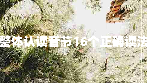 整體認(rèn)讀音節(jié)16個(gè)正確讀法