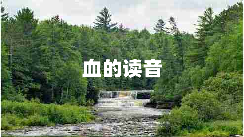 血的讀音