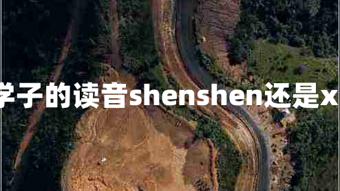 莘莘學子的讀音shenshen還是xinxin