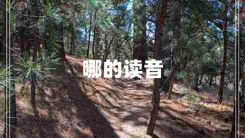 哪的讀音