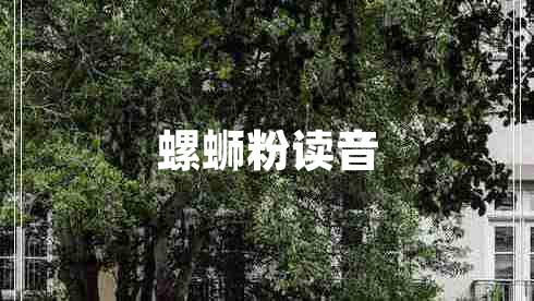 螺螄粉讀音 螺螄粉讀音