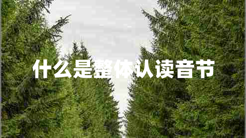 什么是整體認讀音節(jié)