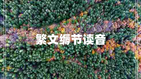 繁文縟節(jié)讀音