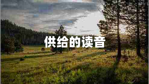 供給的讀音