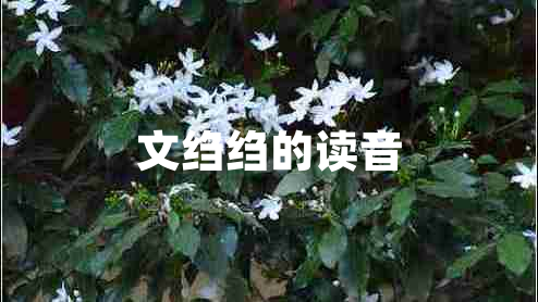 文縐縐的讀音