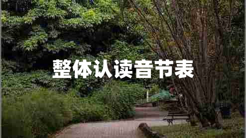 整體認(rèn)讀音節(jié)表